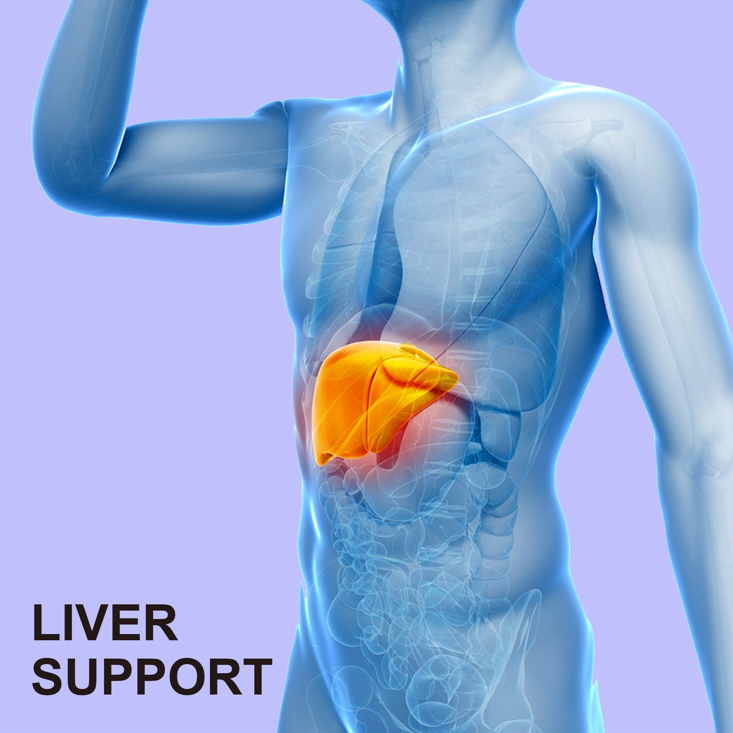 TUDCA 1000mg Gummies liver support