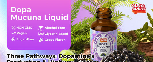 Dopa+ Gummies: Best Gummies for Energy and Focus to Boost Your Day
