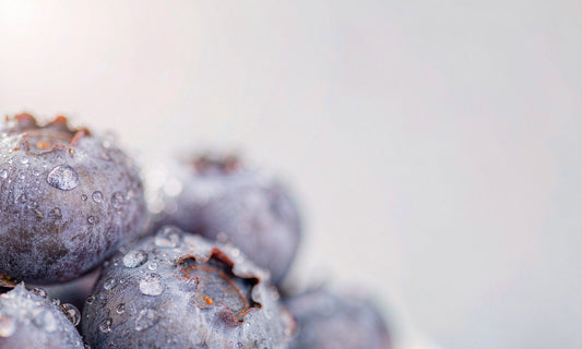 Macro close-up of fresh blueberries with dewy water droplets in soft purple tones on a pale background