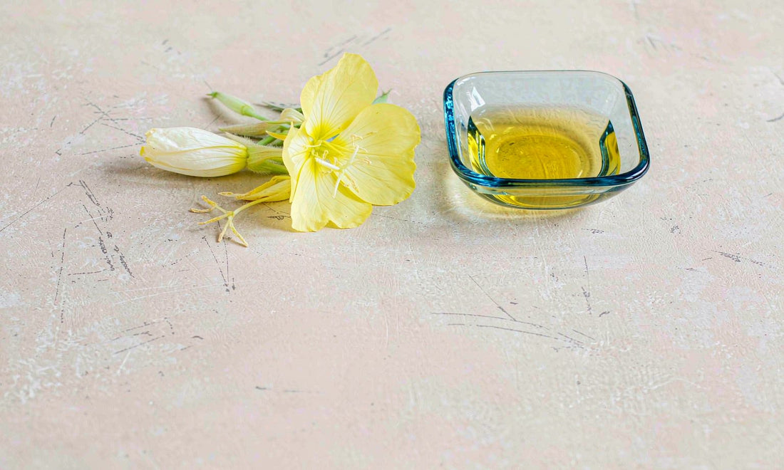 Evening primrose flowers beside a small glass dish of golden oil on a pale stone surface