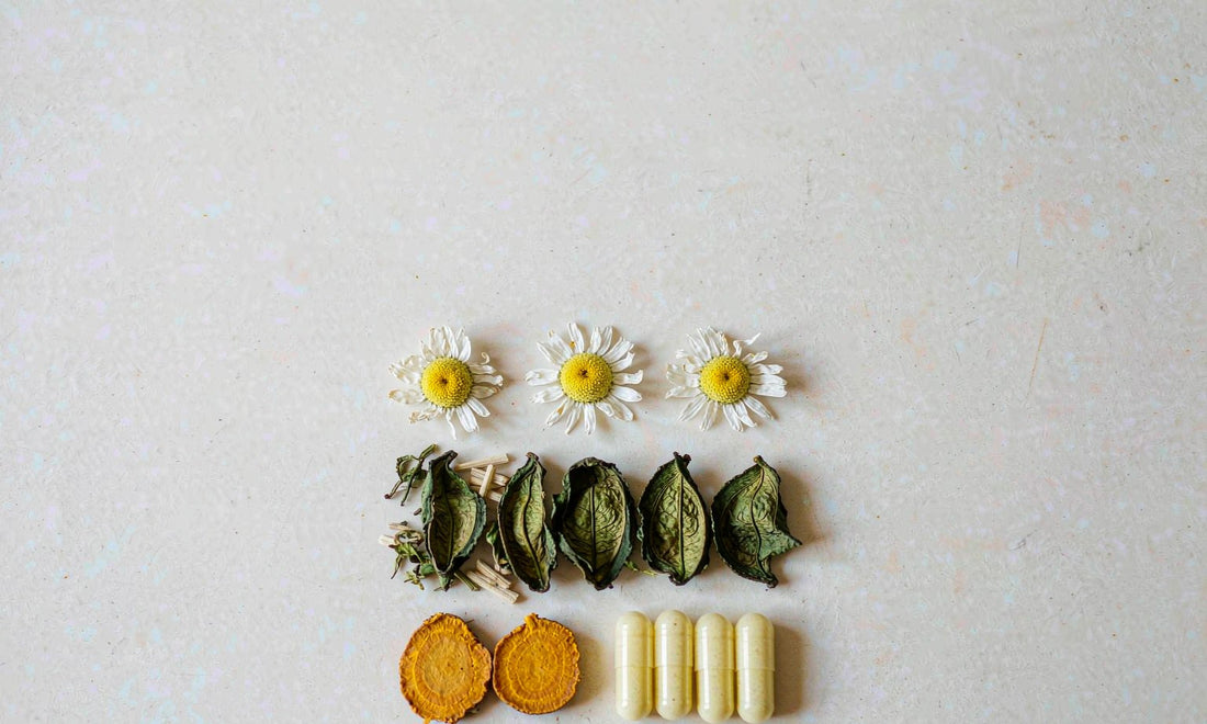 Dried chamomile flowers, green leaves, turmeric slices and white capsules in a minimal grid