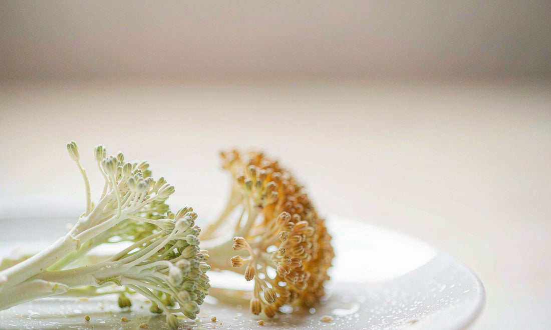 Macro study of tiny broccoli sprouts beside mature broccoli florets on white ceramic, showing where the young plant concentrates its compounds