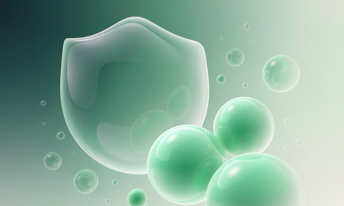 Abstract 3D illustration of a translucent mint shield and floating teal-green orbs, representing immune defense