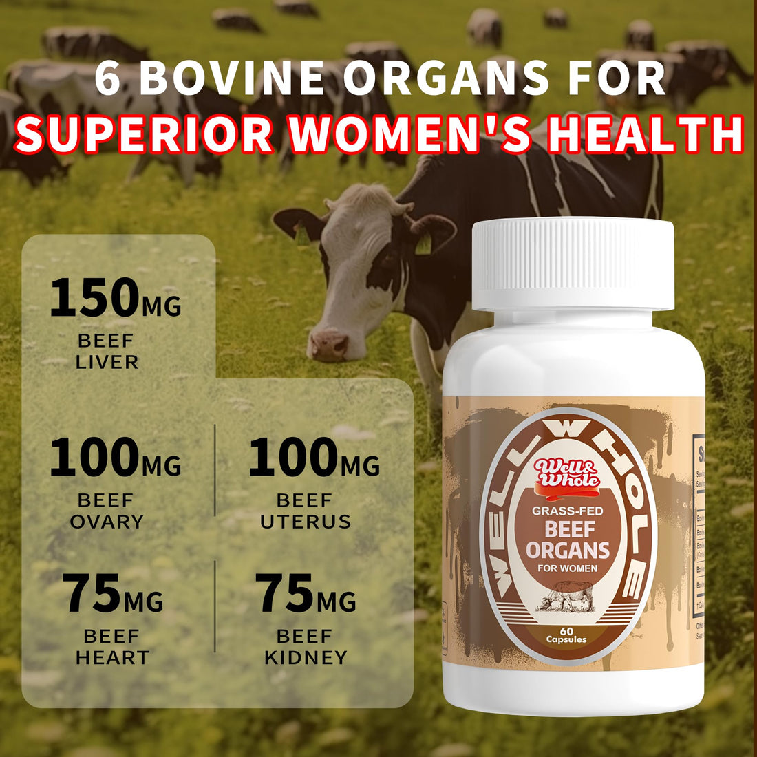 Beef Organ Capsules vs Gummies: Which Format Is Better?