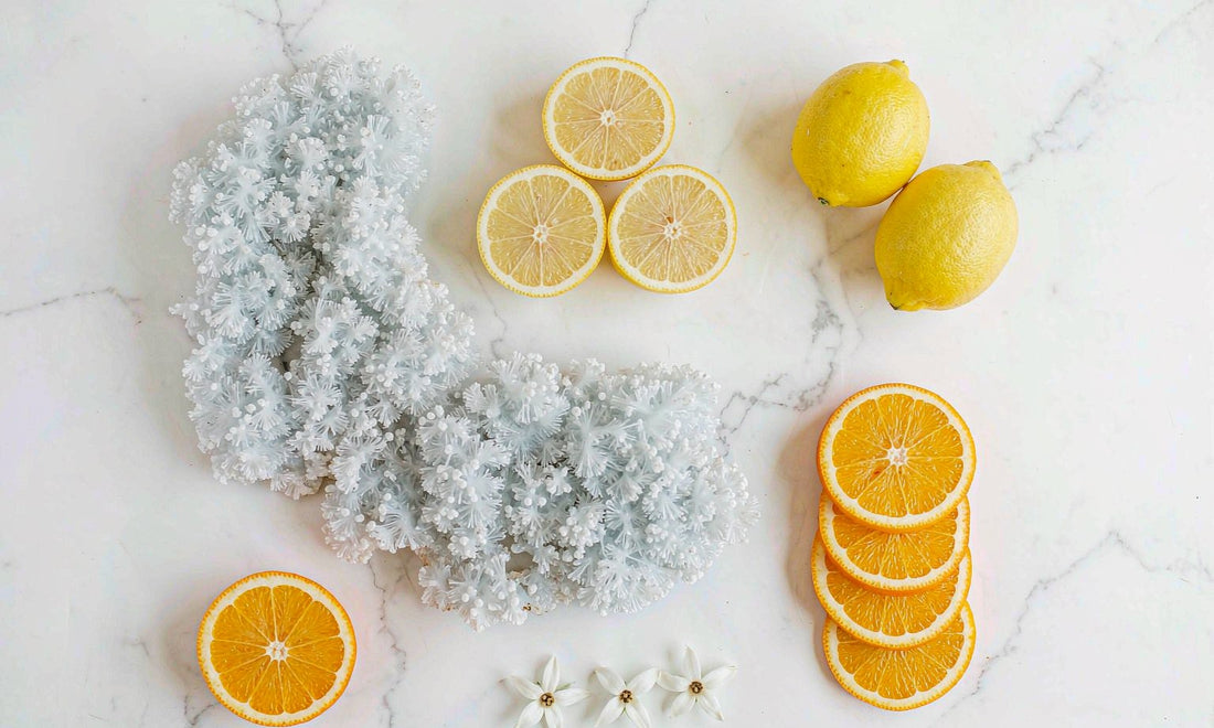 Overhead flat lay of citrus slices and pale mineral crystals arranged on white marble in bright natural daylight