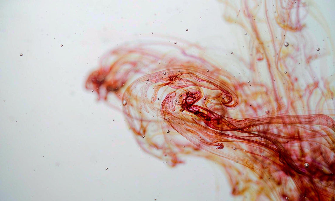 Macro view of coral red microalgae pigment swirling in clear water, shallow depth of field