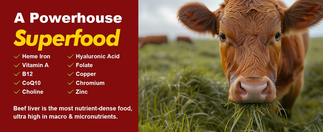 Best Grass-Fed Beef Liver Supplement: A Natural Source of Essential Nutrients