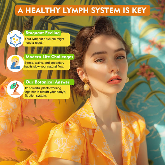 Lymphatic System Science: How Echinacea + Dandelion + Burdock Activate Immune Pathways