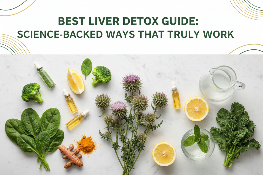 Best Liver Support Guide: Science-Backed Ways to Support Your Liver