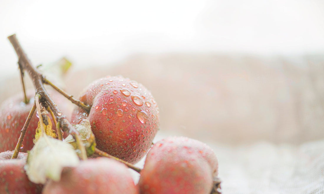 Macro close-up of fresh red hawthorn berries with water droplets on a pale linen cloth
