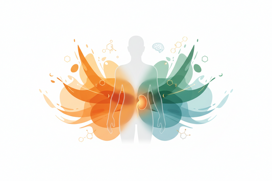 Cortisol: The Stress Hormone Explained — What It Is, Why It Matters, and How to Manage It