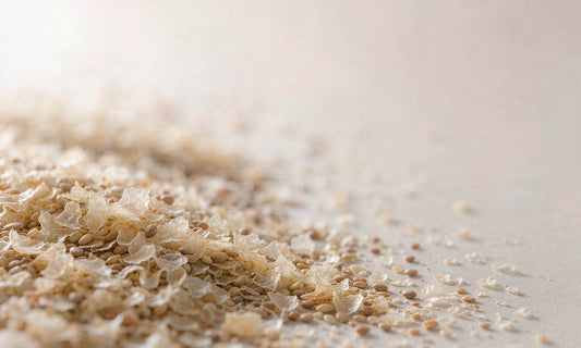 Macro close-up of golden psyllium husk flakes and seeds in raking daylight