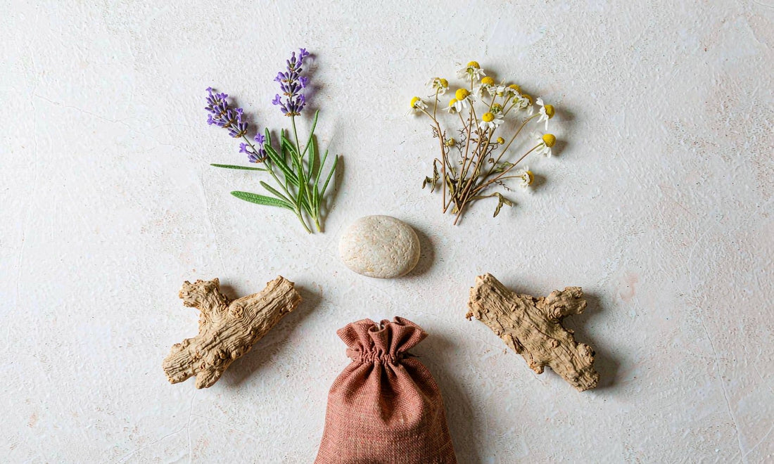 Calm ingredient flat lay of ashwagandha root, lavender and chamomile arranged on pale stone