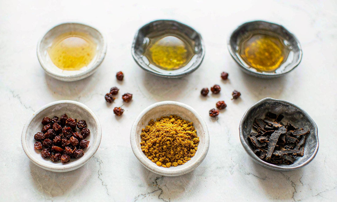 Overhead flat lay of amber botanical powder, barberry berries and bark pieces in dishes on pale stone