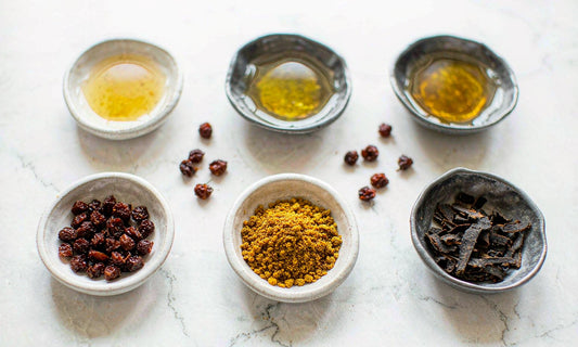 Overhead flat lay of amber botanical powder, barberry berries and bark pieces in dishes on pale stone