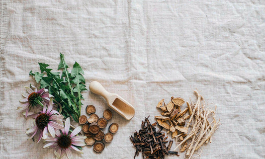Flat lay of echinacea flowers, dandelion leaves and burdock root slices arranged on pale linen