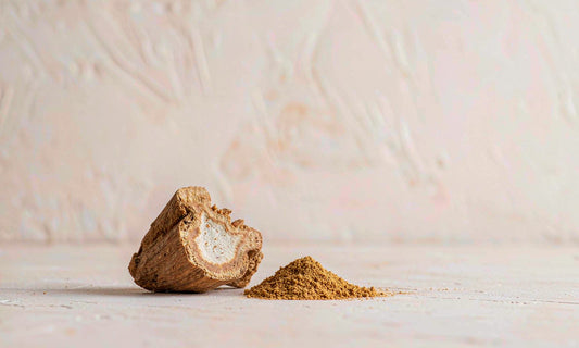 Macro close-up of a dried ashwagandha root slice beside a small mound of fine golden-brown powder
