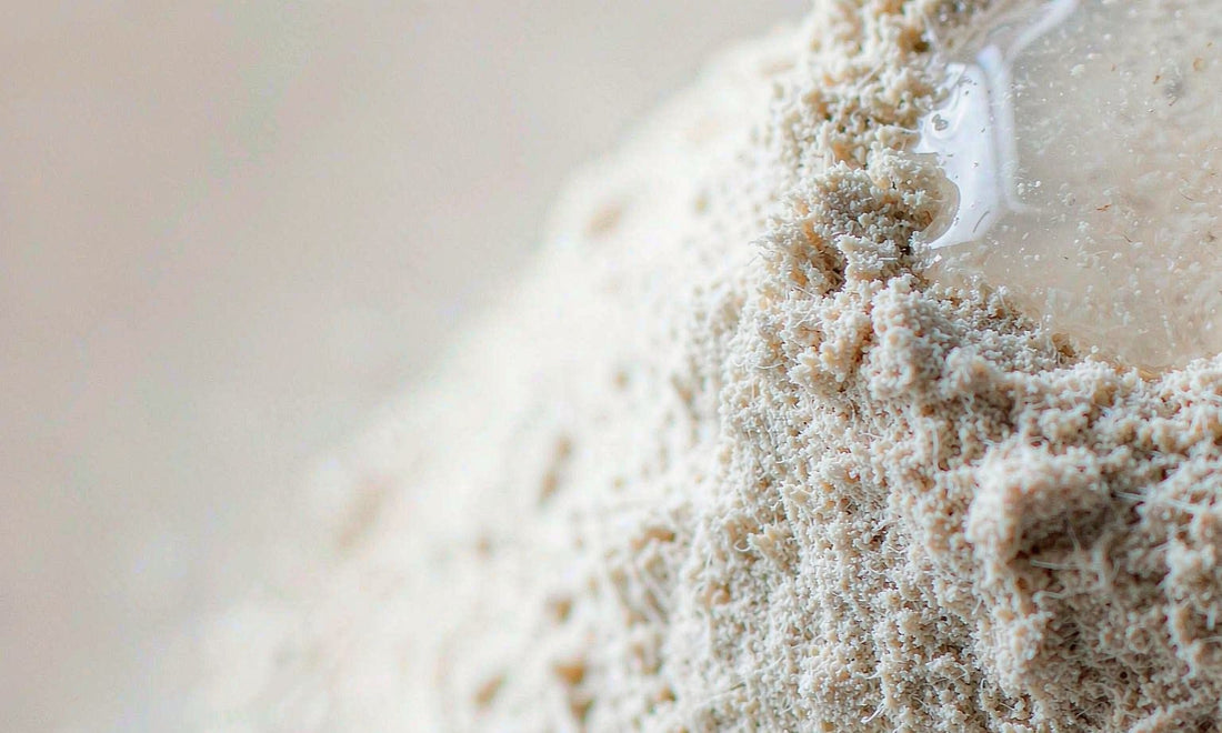 Macro texture of fine slippery elm inner bark powder with a glossy gel sheen under soft light