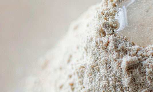 Macro texture of fine slippery elm inner bark powder with a glossy gel sheen under soft light