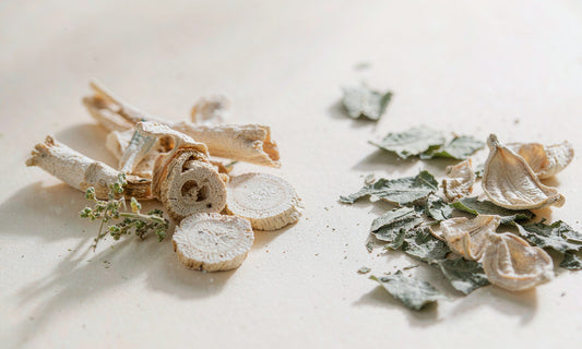 Macro still life of dried sliced roots and crushed green leaves on pale bone surface