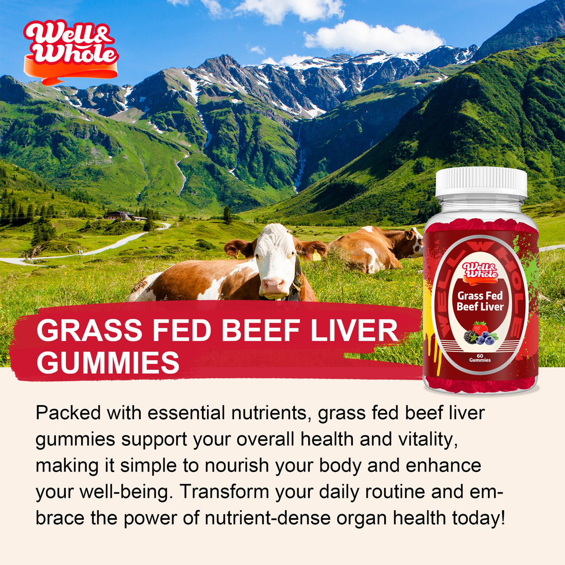 B Vitamin Complex in Beef Liver: Energy Metabolism at the Mitochondrial Level