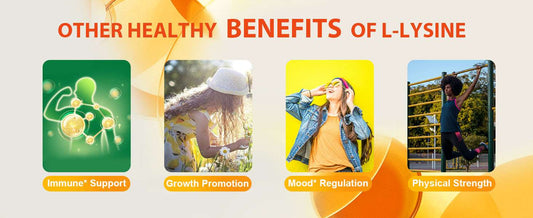 bulk supplements lysine