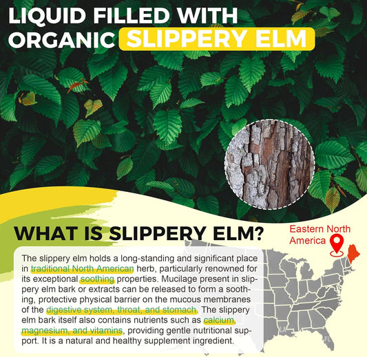 Mucilage Science: How Slippery Elm + Marshmallow Root + DGL Licorice Coat and Soothe the GI Tract