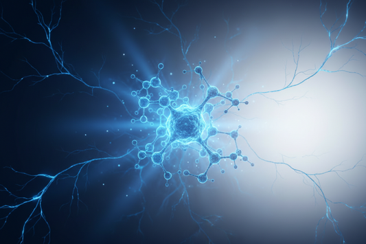 Methylene Blue and Neurodegenerative Disease: What the Research Shows
