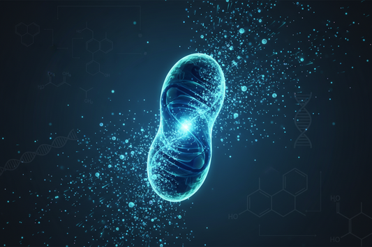 PQQ: The Mitochondrial Biogenesis Nutrient Explained