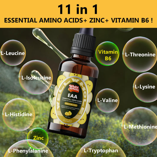 EAA Drops: Essential Amino Acid Support for Muscle Recovery and Wellness