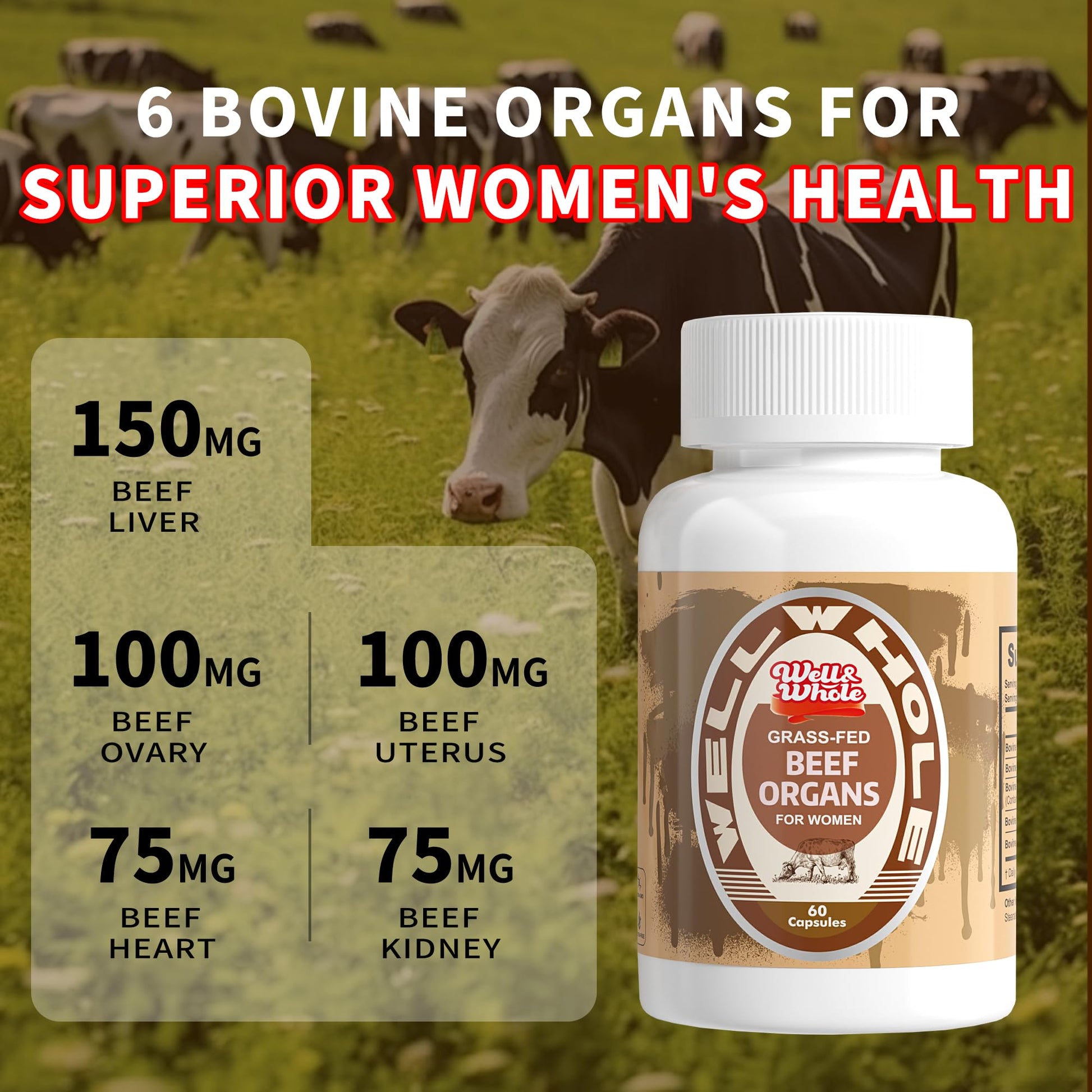 6 bovine organs for superior women＇s health