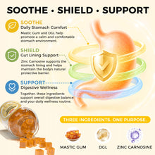 Mastic Gum Gummies with Zinc Carnosine & DGL, Stomach Support, 90