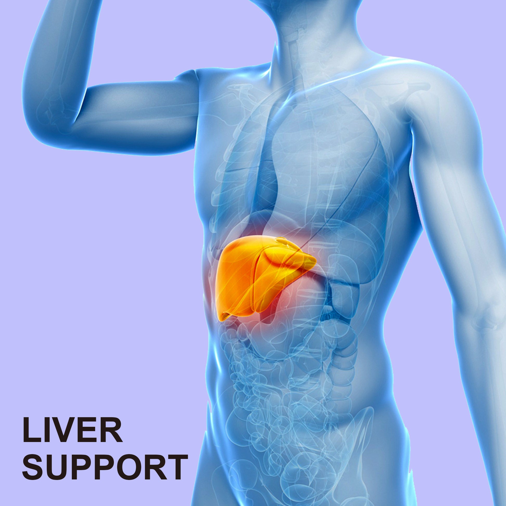 TUDCA 1000mg Gummies liver support
