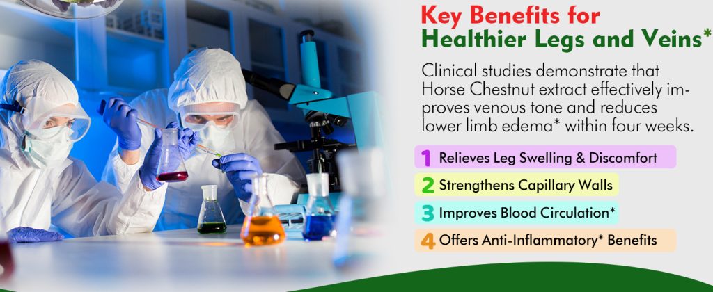 horse chestnut for varicose veins